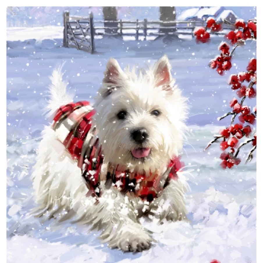 Käthe Wohlfahrt Dog Christmas Advent Calendar - Festive Countdown for Pets