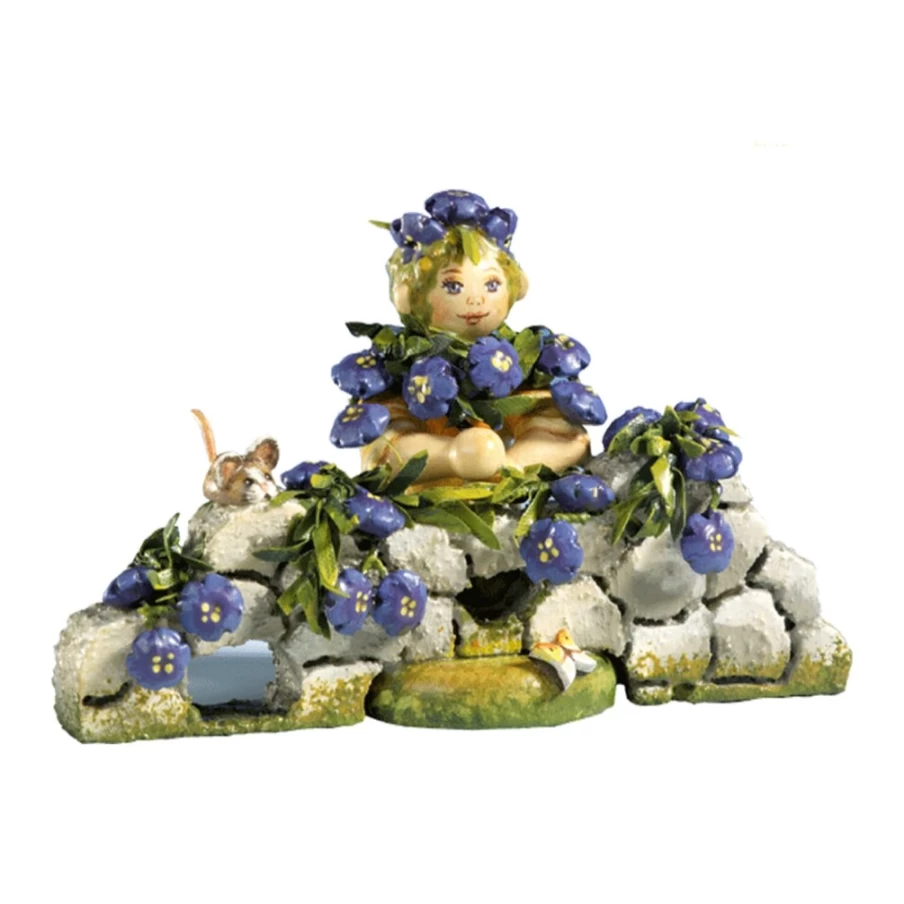 "Kindertraum Violet Aubrieta Flower Child - Perennial Ground Cover Plants for Garden Landscaping"